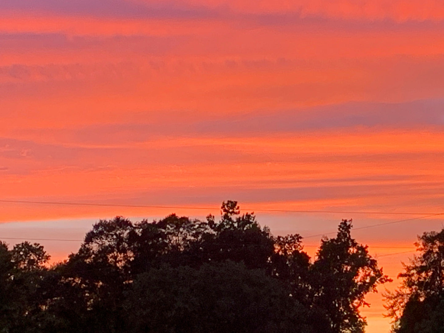 Diamond Painting ~ Southern Sunset