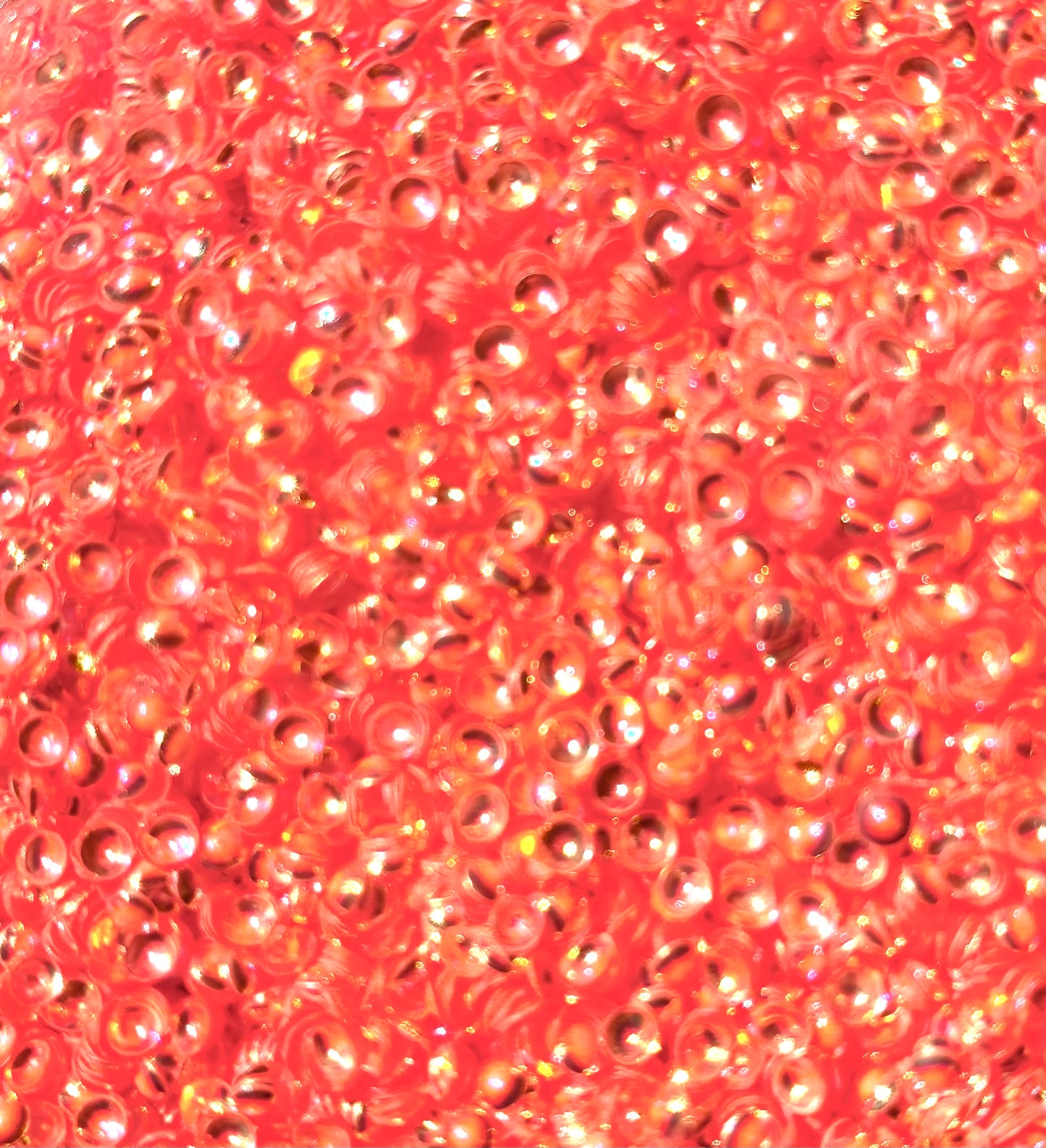 Coral Reef - Pearl