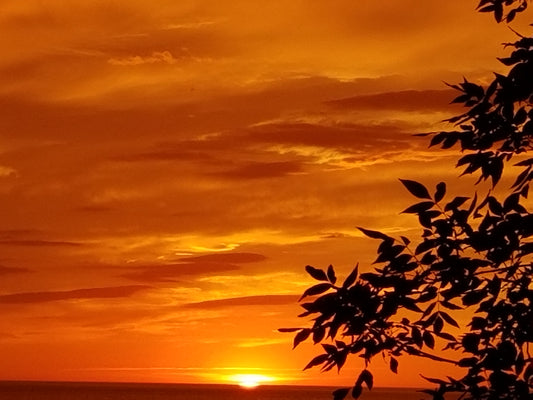 Diamond Painting ~ Sunset by the Lake