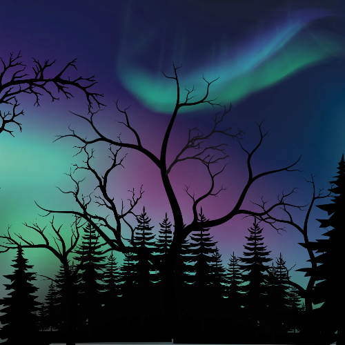 Diamond Painting ~ Northern LIghts
