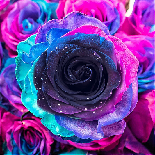 Diamond Painting ~ Glimmer Rose