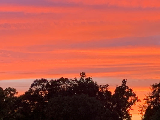 Diamond Painting ~ Southern Sunset